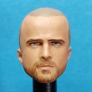 253  JESSE PINKMAN