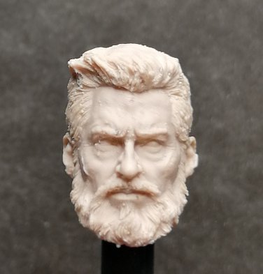 041  WOLVERINE  OLD LOGAN