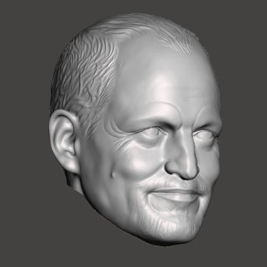 3DPRINTED  WOODY HARRELSON