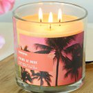 New Retired Sonoma Brand Palms At Dusk 3-Wick Triple Pour Candle Jar - Up to 50 Hours
