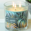 New Retired Sonoma Brand Tropical Rainforest 3-Wick Triple Pour Candle Jar - Up to 50 Hours