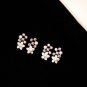 E001088 Earrings (Silver)