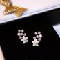 E001088 Earrings (Silver)