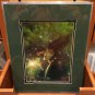 Disneyland Exlcusionary Tale print by Tony Harris NEW!