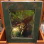 Disneyland Exlcusionary Tale print by Tony Harris NEW!
