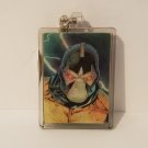 Six Flags Magic Mounatin DC Comics Villains Lenticular Keychain New