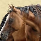 Blue Eyed Beauty Horse Print
