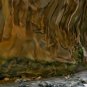 Canyon Wall Art Print