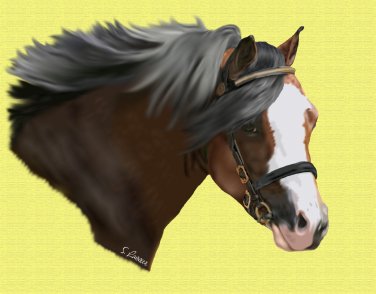 Champion Pony Print