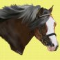 Champion Pony Print