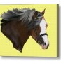 Champion Pony Print