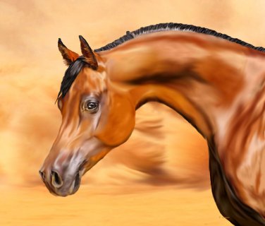 Desert Arabian Canvas Print