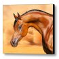 Desert Arabian Canvas Print