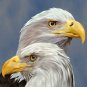 Heart and Soul Eagles