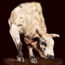 Smooth Operator Bucking Bull