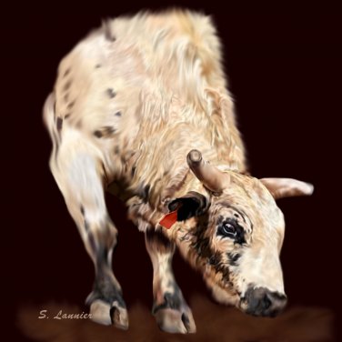 Smooth Operator Bucking Bull
