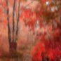 Autumn's Path Giclee Stretched Canvas