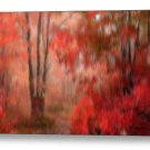 Autumn's Path Giclee Stretched Canvas