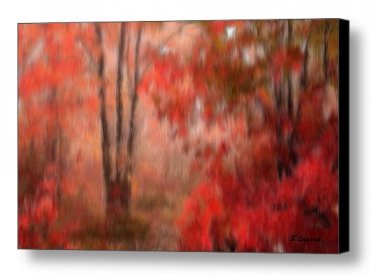 Autumn's Path Giclee Stretched Canvas