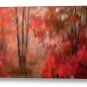 Autumn's Path Giclee Stretched Canvas