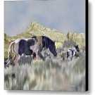 Wild and Free Horse Print