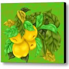 Autumn Harvest Stretched Canvas