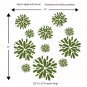Chic Floral Pattern Decal ~ Item 0345e