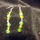 long forest drop