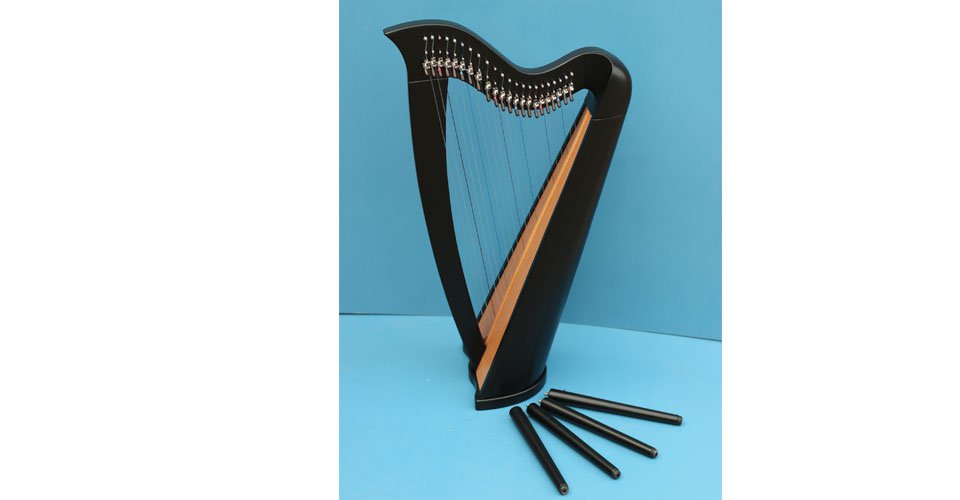 22 string harp