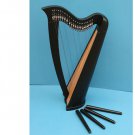 22 string harp