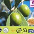 Olive Leaf Extract