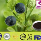 Bilberry Extract