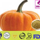 Pumpkin Powder