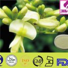 Sophora Japonica Extract