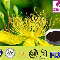 St. John's Wort Extract