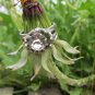 Modern style adjustable vintage ring, jewel ring, silver ring, Cocktail jewelry, Romantic style, fas