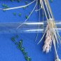 NEVER BEEN USED!!! Collectible Big medical test-tube for of decor pharmacy, Soviet Big tube, Glass M