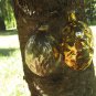 Vintage Christmas golden pine cone and nut, Antique Christmas decoration, Christmas ornament of Glas