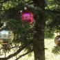Vintage Christmas Ornament,glass balls ornament, Antique Christmas decor, Christmas ornament of Glas