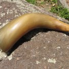 Curved Vintage drinking horn, Game of Thrones gift, Georgian traditional wine drinking horn chainles