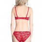Womens Sexy lace vintage Ultra-thin Push up Bra Brief Panties Sets underwear plus size sleepwear