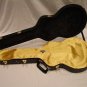 GOLD "AxeShield" Satin Protection Shroud ATTACHES To Taylor GC Series Case