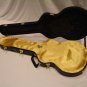 GOLD AxeShield HD Satin Protection Shroud ATTACHES To Gibson/Epi ES-339 Case