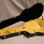 GOLD AxeShield HD Satin Protection Shroud ATTACHES To TAYLOR GA Acoustic Case