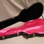 PINK AxeShield HD Satin Protection Shroud ATTACHES To TAYLOR GA Acoustic Case