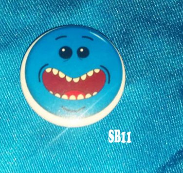 Mr . meeseeks face