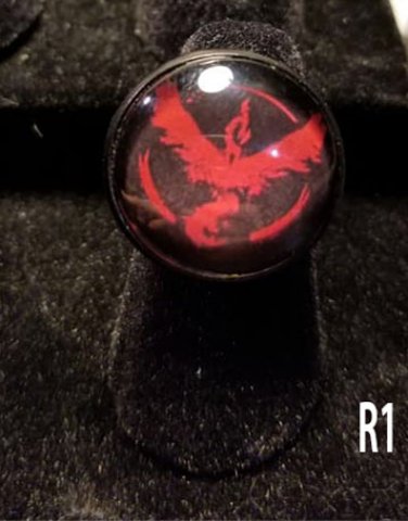 Team Valor Pokemon