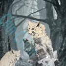 Into the woods BIG