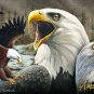 Bald Eagle Gift 15 Oz Stoneware Coffee Mug with Decorative Box