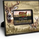 Whitetail Deer Canvas Wrapped Photo Frames